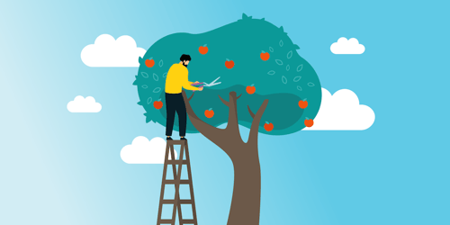 As Product Owner, you are the gardener: trim your backlog like a tree